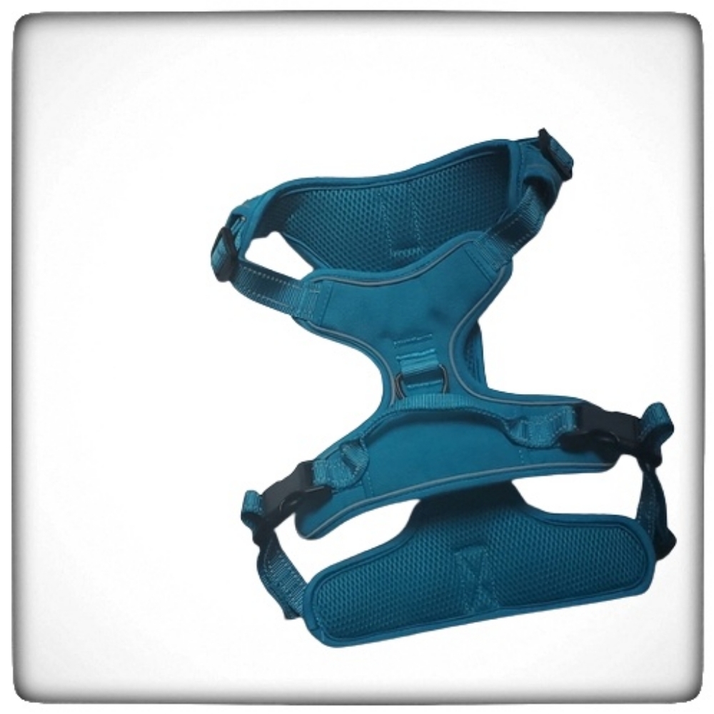 Good2Go Blue Front Walking Dog Harness-L
